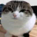 Yrxhcaz-Kaz_Modpack icon