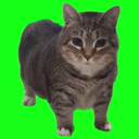 Yukikaco-InteractiveEnable icon