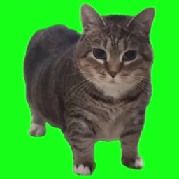 Yukikaco-InteractiveEnable icon