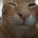 Zaggy1024-LethalLevelLoaderHostExitFix icon