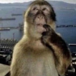 ZapTeam-PhModPack icon