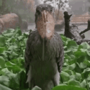 Zedlox-ZedloxSuit icon