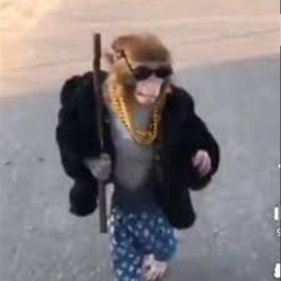 Zenguard-ThatOneModPack icon