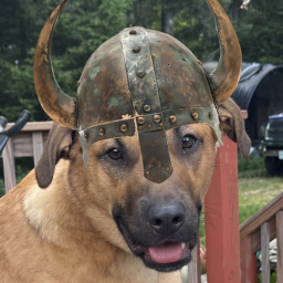 Zooblesnoops-Fenheim_Gang_Pack icon