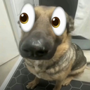 ZoottaLootta-TestMod icon