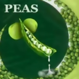 Zypher-ThePeaHorn icon