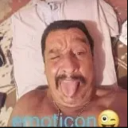 aaaaaaaaa233-TestMod icon