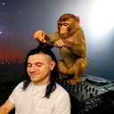 abdaaron-Cotorrolas icon