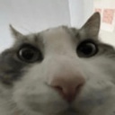 abooban1-ModelReplacementAPIHotfix icon