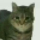 actualfurry-UltraGokuDungeon icon