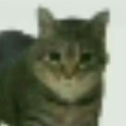 actualfurry-UltraGokuDungeon icon