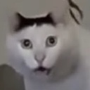 ake-HuhCatClownhorn icon