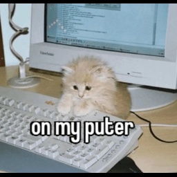 alfredo_eaterofworlds-PolarLemonLimeSeltzer icon