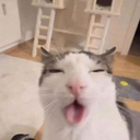 aloafofbread-funny_jesters icon