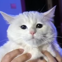 alwaysdepressed-AnutkaHeim icon