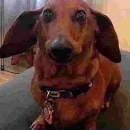 andrey_p1mpl-Cucumber_warning icon