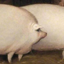 aphroller-modpackpack icon