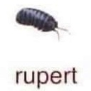 arclightstark-leopolc_company icon