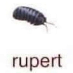 arclightstark-leopolc_company icon