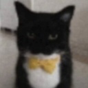 argaguga-LethalGanueModpack icon