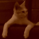 armorvagyok-asdpack icon