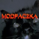 ashx44-MegaModpaczka icon