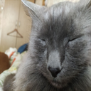 awokado-MoonsCompany icon