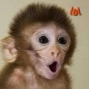 babymonkey107-BabyMonkey_Moons_Interiors_Modpack icon