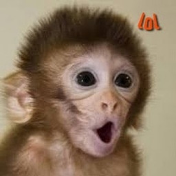 babymonkey107-BabyMonkey_Moons_Interiors_Modpack icon