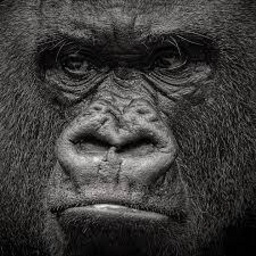 bananas414-GooberCompany icon