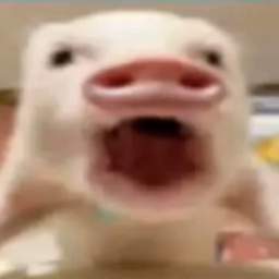 baran-Horrorfrfr icon