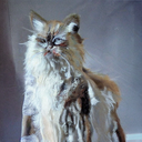 bdwr-towwlvideos icon