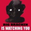 bebra-The_Big_Bracken_Poster-1.0.4 icon