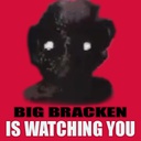 bebra-The_Big_Bracken_Poster icon