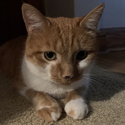 beepus-beepus_modpack icon