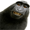 bigballhavr-THEPACK icon