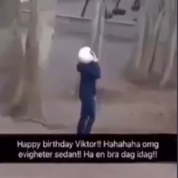 biktor-biktor_bug icon