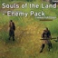 binbash-SoulsoftheLandEnemyPack_FIXED-1.2.2 icon