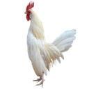 blackhood-Touch_Grass icon