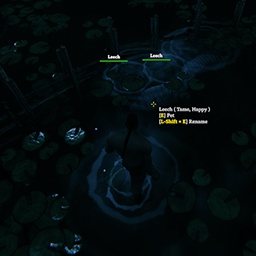 blacks7ar-TameableLeech icon