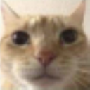 blue_crabs-cool_skins icon