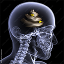 blurple8-shitz4brayns icon