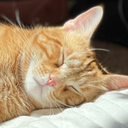 boakaylee-Grant_Cant_Think_of_a_Name icon