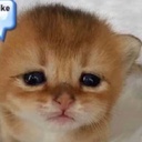 boioioioioing-TheModpackInTheEntireUniverse icon