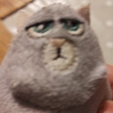 boldgar-Boldgar icon