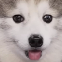 bonebickler-BoneBicklerSuits icon