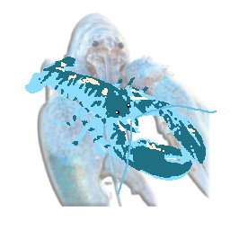 bop-BlueLobster icon