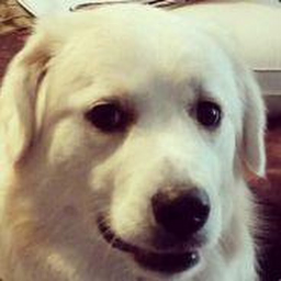 boring-NoPenaltyNoLCAPI icon