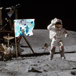 bouncyshield-OutOfBoundsSafe icon