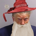 boxlegs-MartialLaw icon